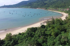 Trích lục bản đồ địa chính: Quy trình và thủ tục chi tiết Trích lục bản đồ địa chính: Quy trình và thủ tục chi tiết