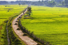 Trích lục bản đồ địa chính: Quy trình và thủ tục chi tiết Trích lục bản đồ địa chính: Quy trình và thủ tục chi tiết